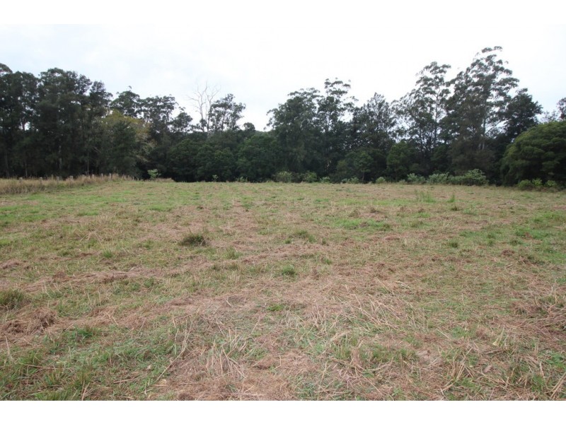 1176 Bellangry Rd, Bellangry NSW 2446