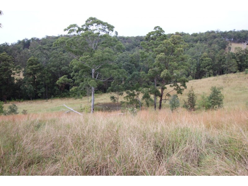 1176 Bellangry Rd, Bellangry NSW 2446