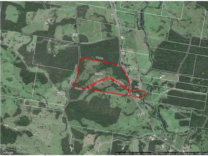 1176 Bellangry Rd, Bellangry NSW 2446 Floorplan