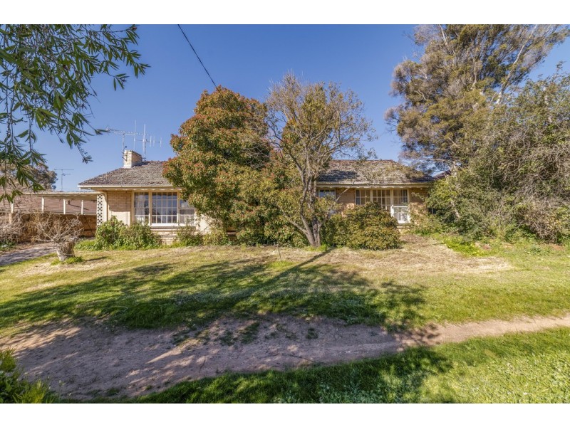 59 Curtin Street, Flora Hill VIC 3550