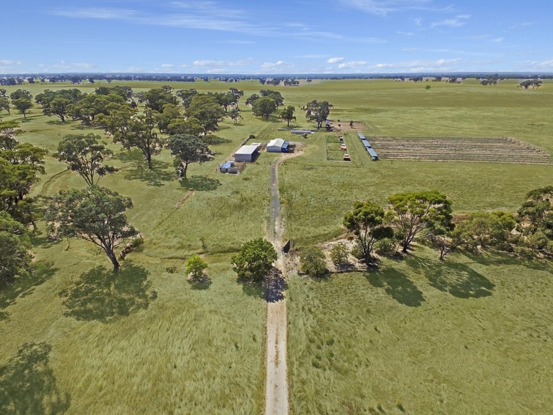 612 Oswalds Road, Campbells Forest VIC 3556