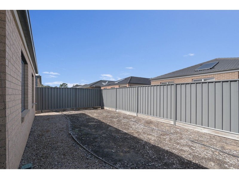 10 Saltbush St, Jackass Flat VIC 3556