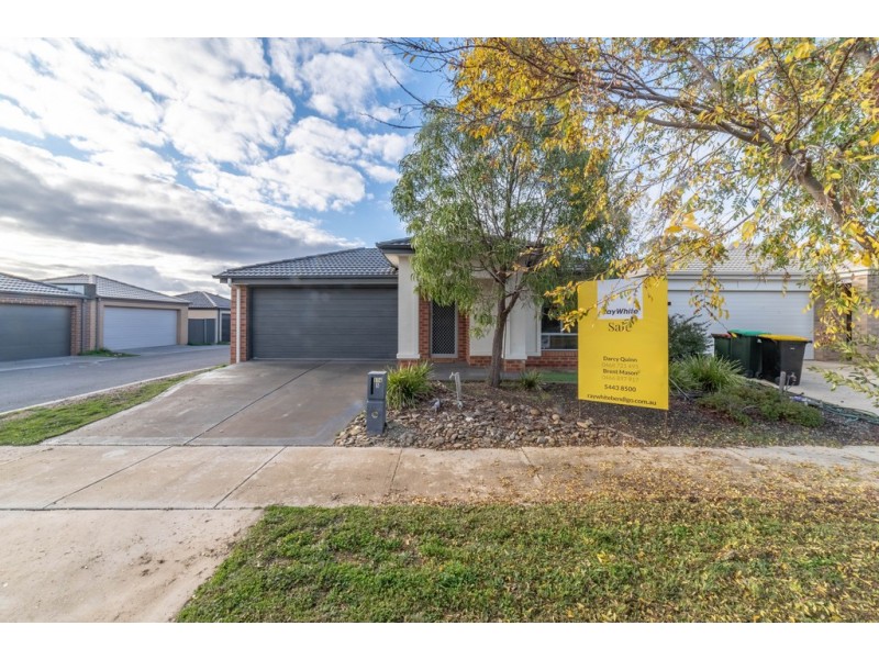 5 Saltbush Street, Jackass Flat VIC 3556