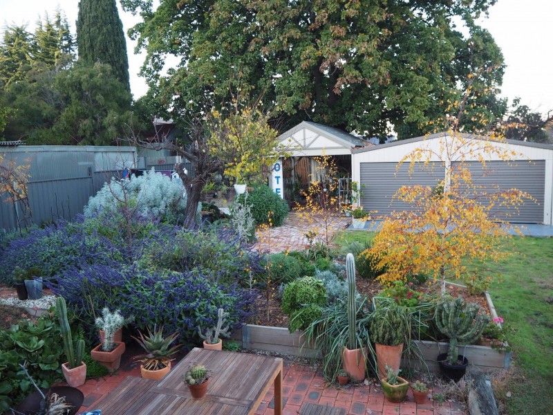 18 Hodgkinson Street, Kennington VIC 3550