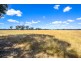 3225 Bendigo Maryborough Road, Laanecoorie VIC 3463