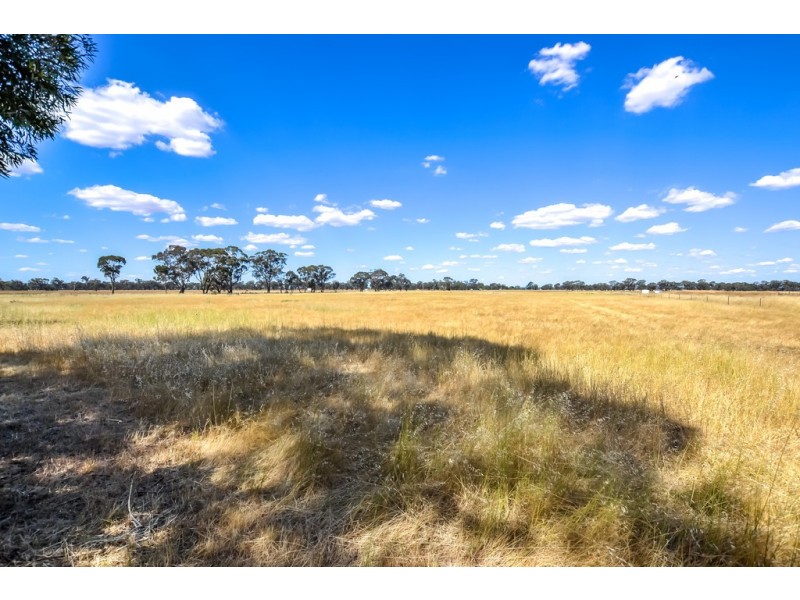 3225 Bendigo Maryborough Road, Laanecoorie VIC 3463