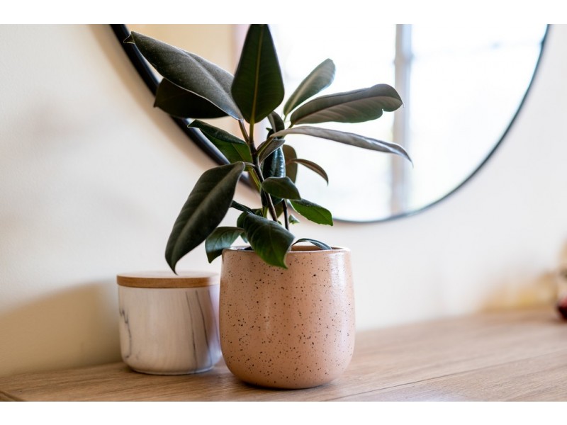 30 Lowndes Street, Kennington VIC 3550