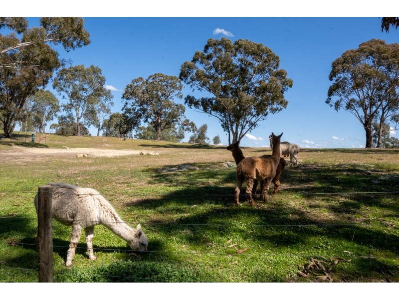 567 Spring Flat Road, Mia Mia VIC 3444