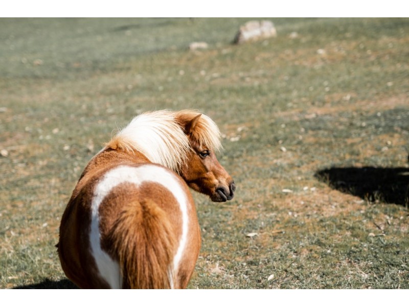 567 Spring Flat Road, Mia Mia VIC 3444