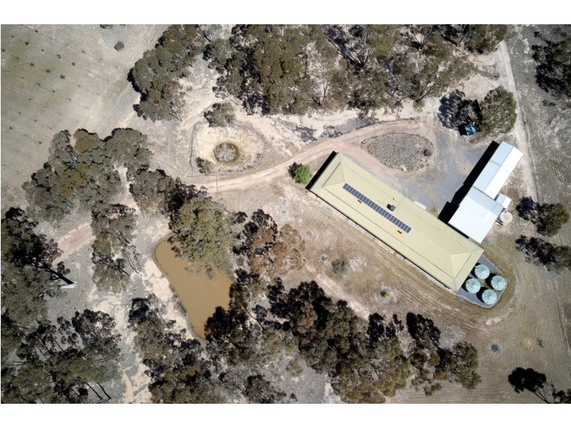 572 Tarnagulla-Laanecoorie Road, Laanecoorie VIC 3463