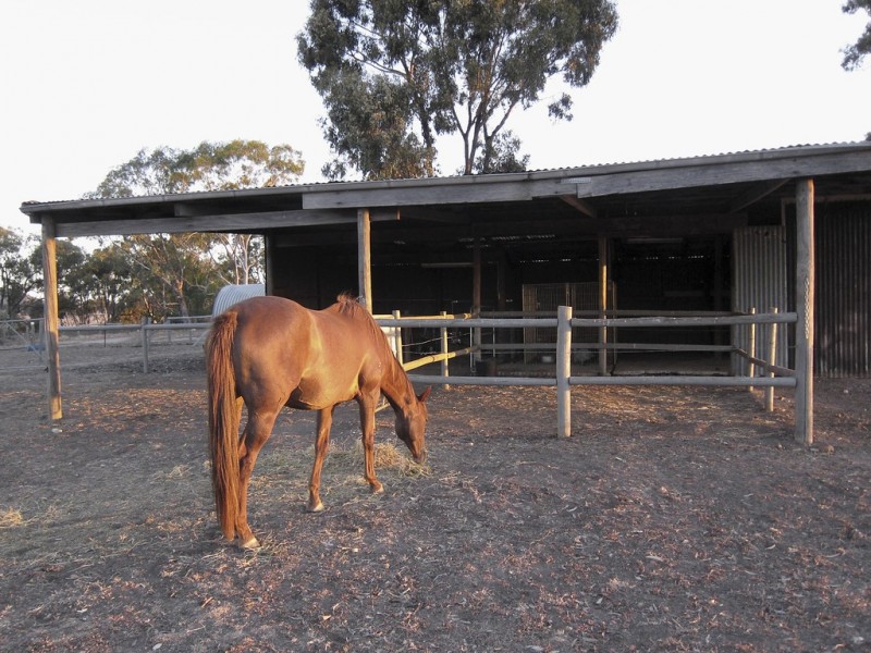 246 Hunters Lane, Knowsley VIC 3523