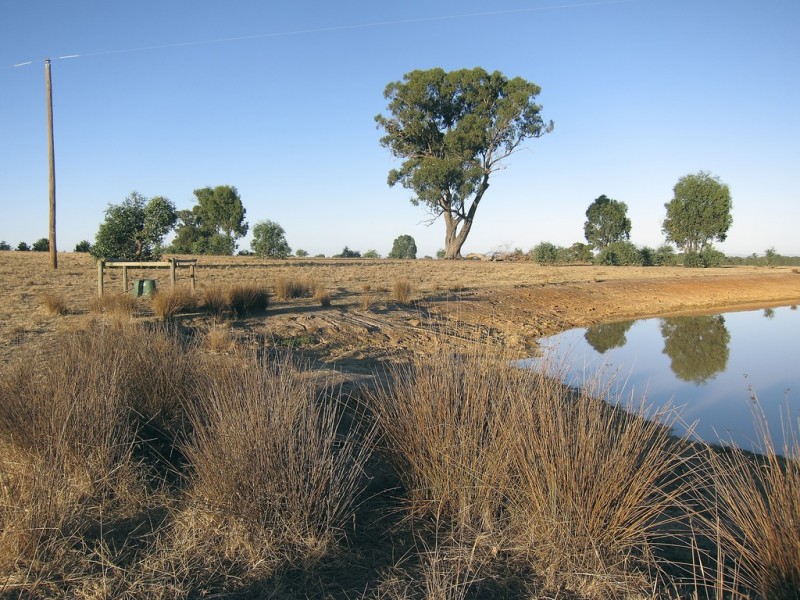 246 Hunters Lane, Knowsley VIC 3523