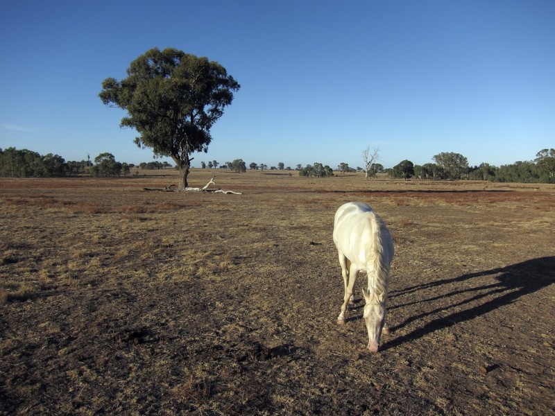 246 Hunters Lane, Knowsley VIC 3523