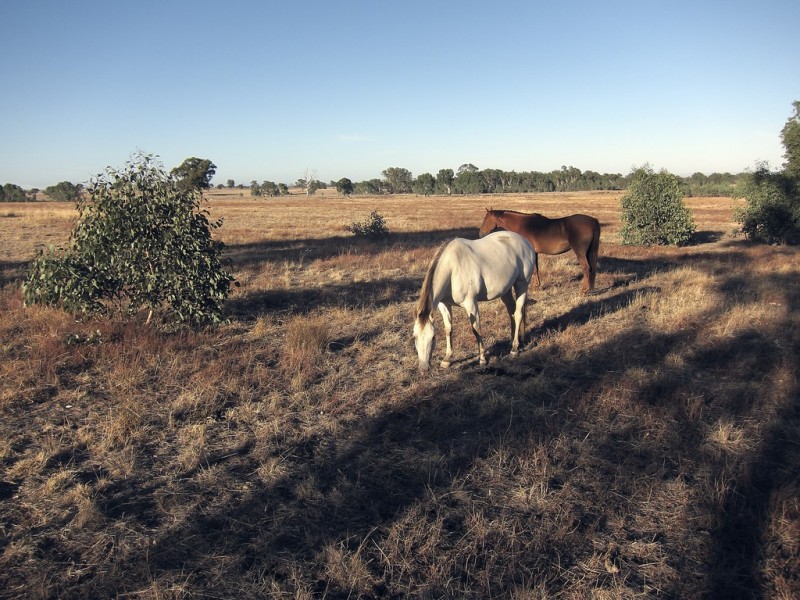 246 Hunters Lane, Knowsley VIC 3523