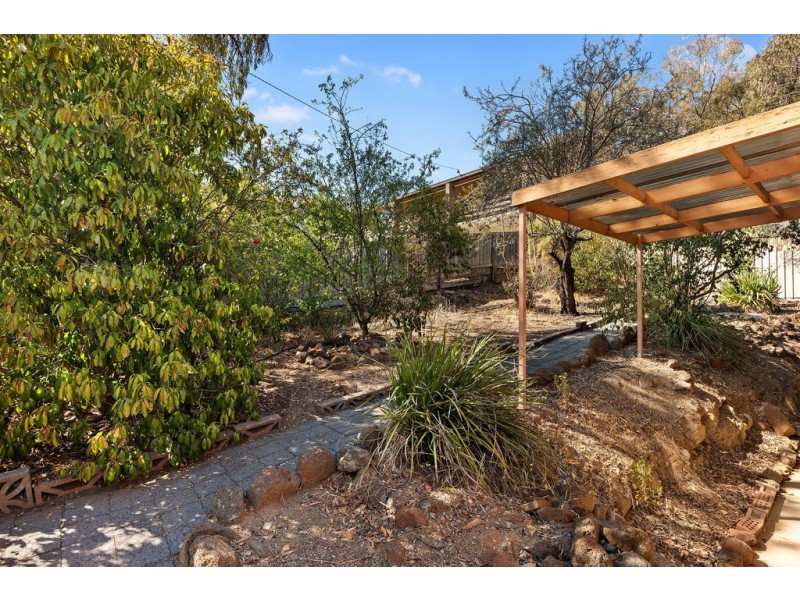 53 Race Street, Flora Hill VIC 3550