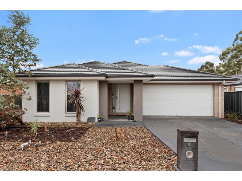 29 Saltbush Street, Jackass Flat VIC 3556