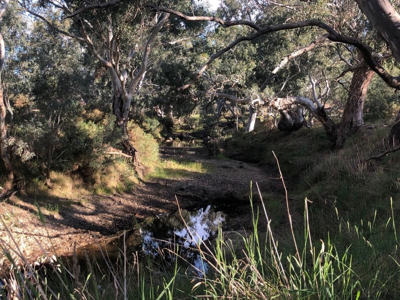 32 Five Gums Lane, Heathcote VIC 3523