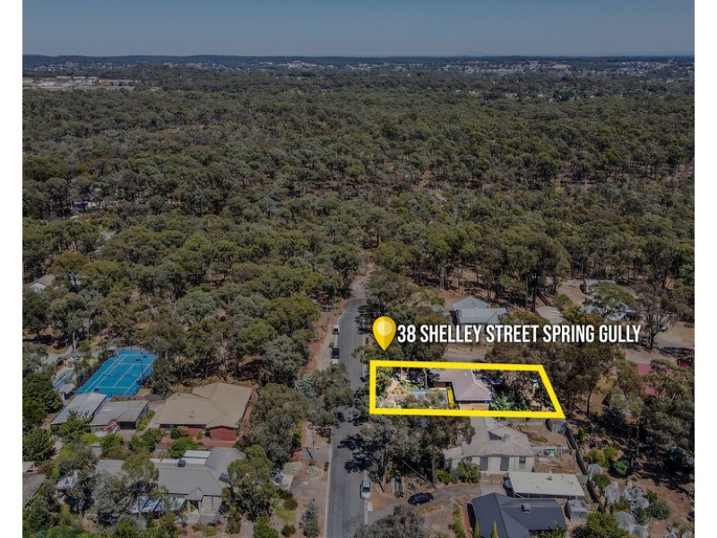 38 Shelley Street, Spring Gully VIC 3550