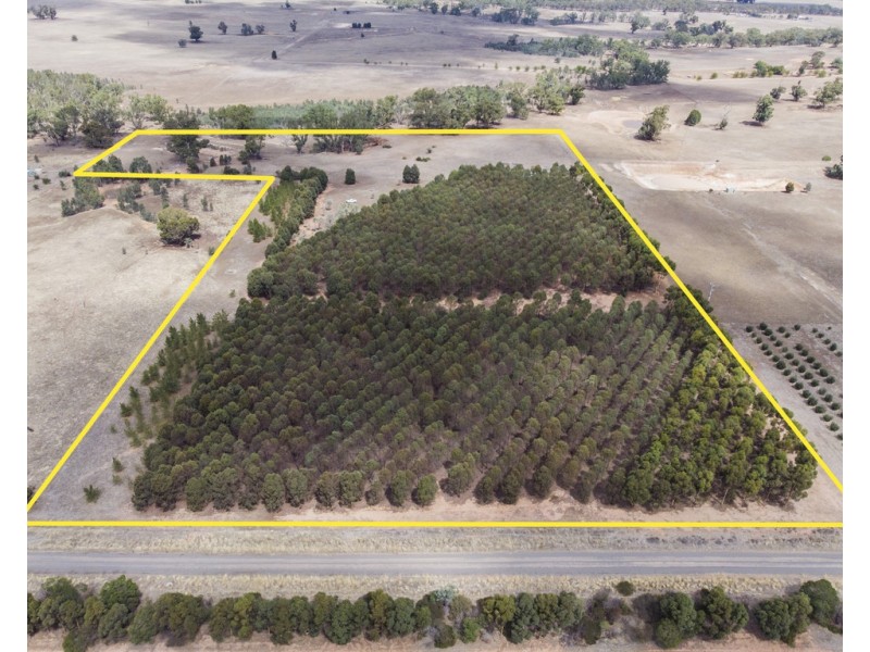 Lot 8 Grandfather Creek Road, Shelbourne VIC 3463