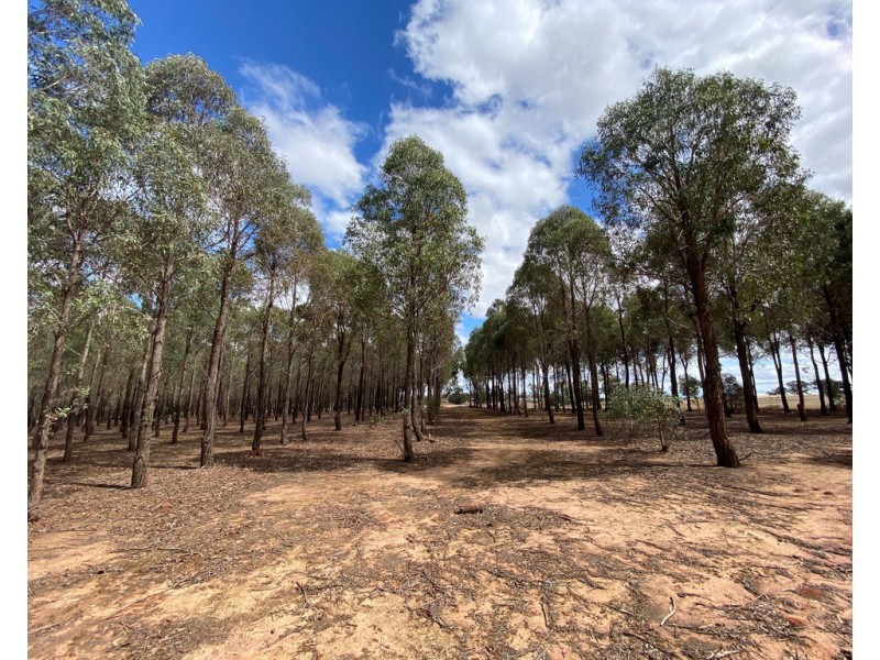 Lot 8 Grandfather Creek Road, Shelbourne VIC 3463