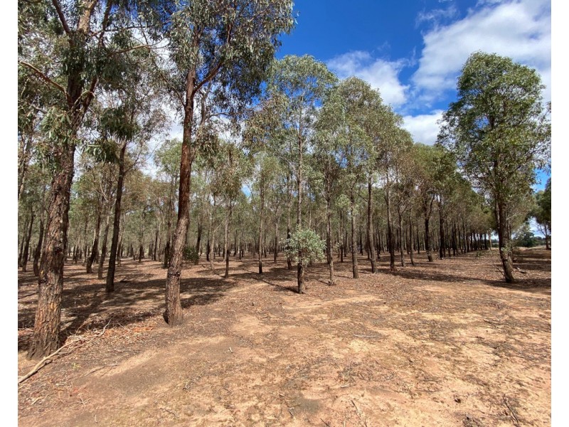 Lot 8 Grandfather Creek Road, Shelbourne VIC 3463
