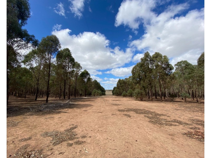 Lot 8 Grandfather Creek Road, Shelbourne VIC 3463