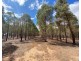 Lot 8 Grandfather Creek Road, Shelbourne VIC 3463
