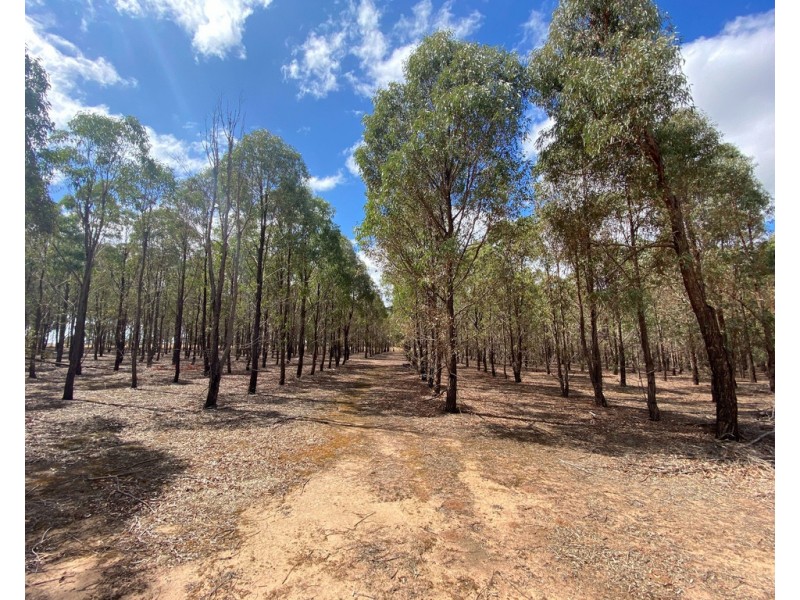 Lot 8 Grandfather Creek Road, Shelbourne VIC 3463