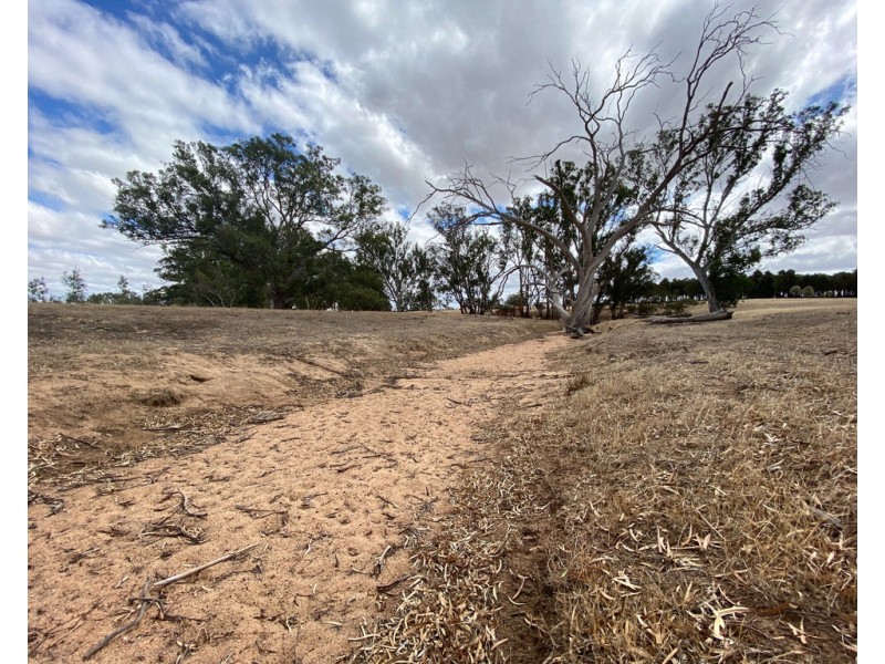 Lot 8 Grandfather Creek Road, Shelbourne VIC 3463