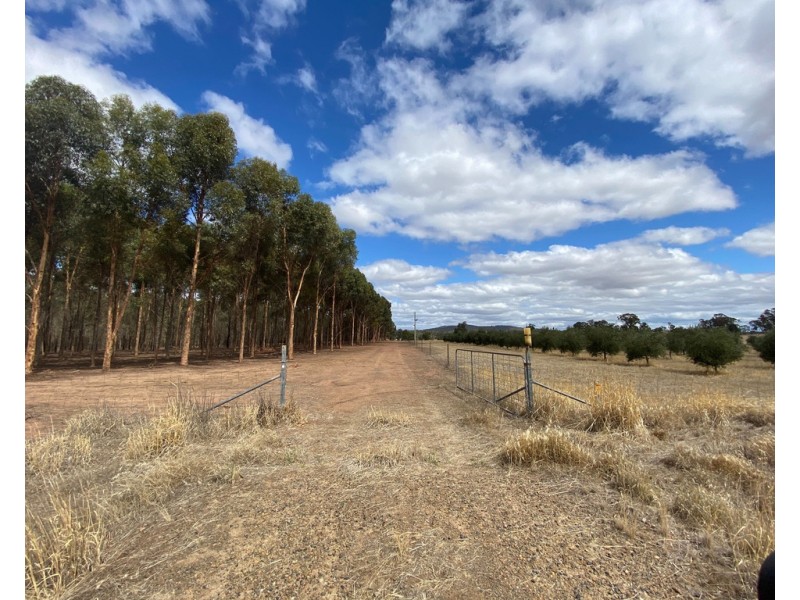 Lot 8 Grandfather Creek Road, Shelbourne VIC 3463