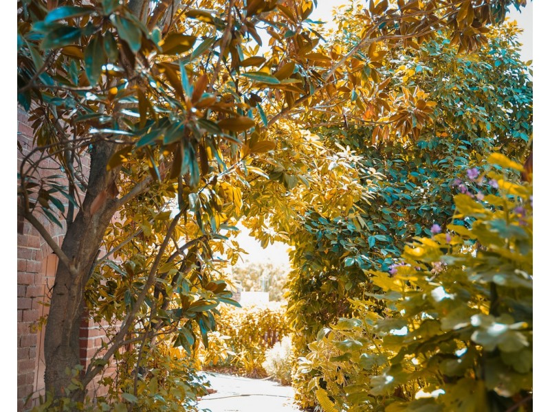 43 Booth Street, Golden Square VIC 3555