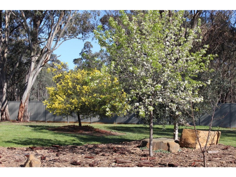 40 Pentlands Road, Mandurang VIC 3551