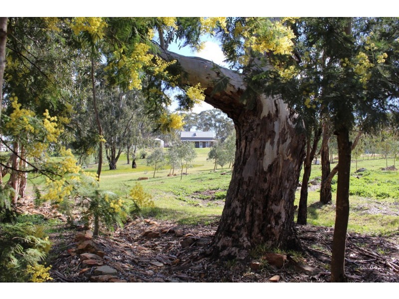 40 Pentlands Road, Mandurang VIC 3551