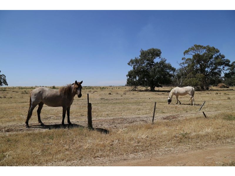 1108 Yarrawalla East, Mitiamo VIC 3573