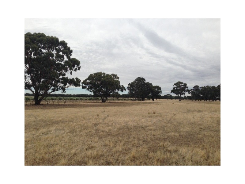 Lot 1 Collins Road, Bagshot North VIC 3551