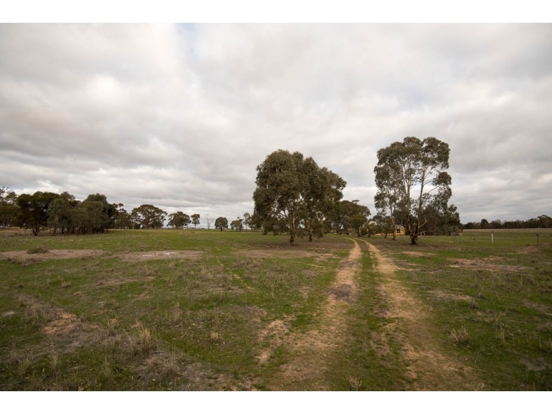 13 Weeah Street, Inglewood VIC 3517