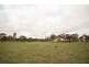 13 Weeah Street, Inglewood VIC 3517