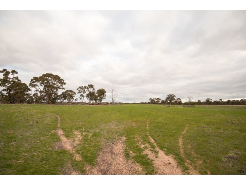 13 Weeah Street, Inglewood VIC 3517