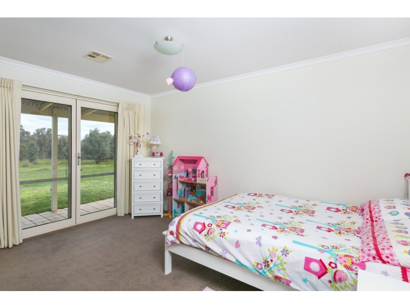 189 McGlashans Road, Lockwood South VIC 3551