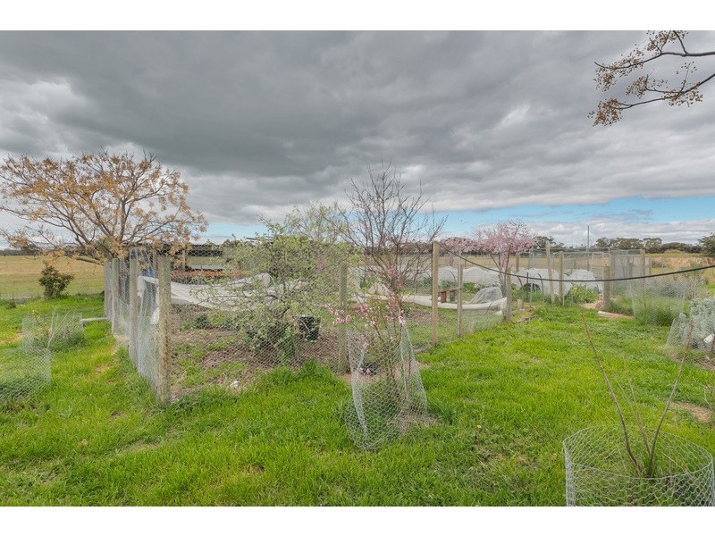 58 Cashens Road, Goornong VIC 3557