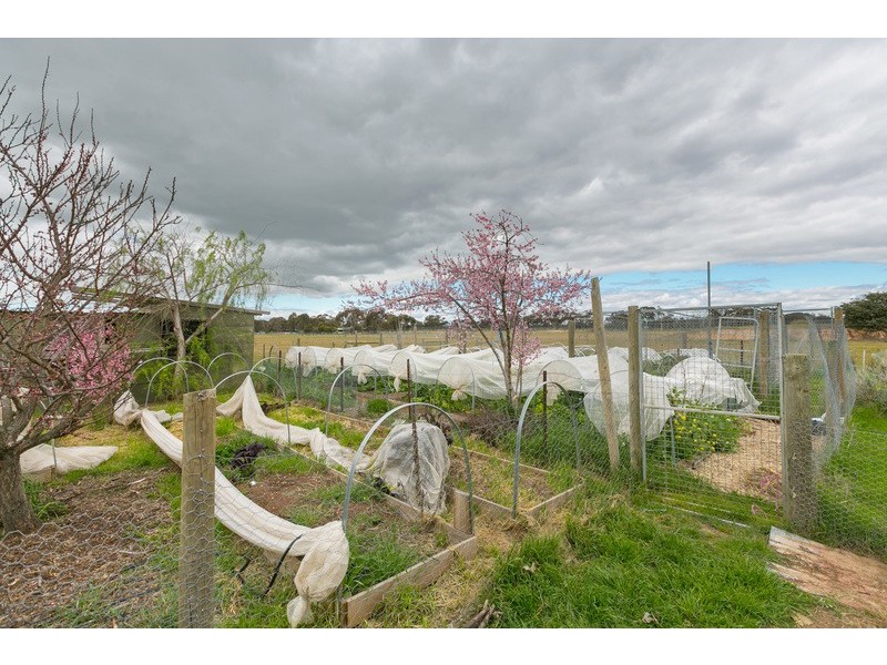 58 Cashens Road, Goornong VIC 3557