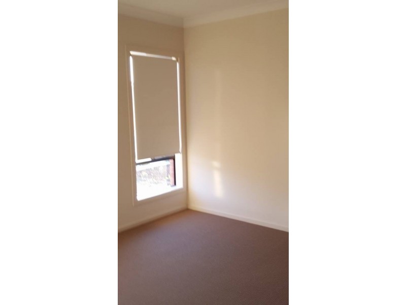 Lot 1009 Bursaria Street, Jackass Flat VIC 3556