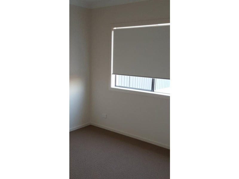 Lot 1009 Bursaria Street, Jackass Flat VIC 3556