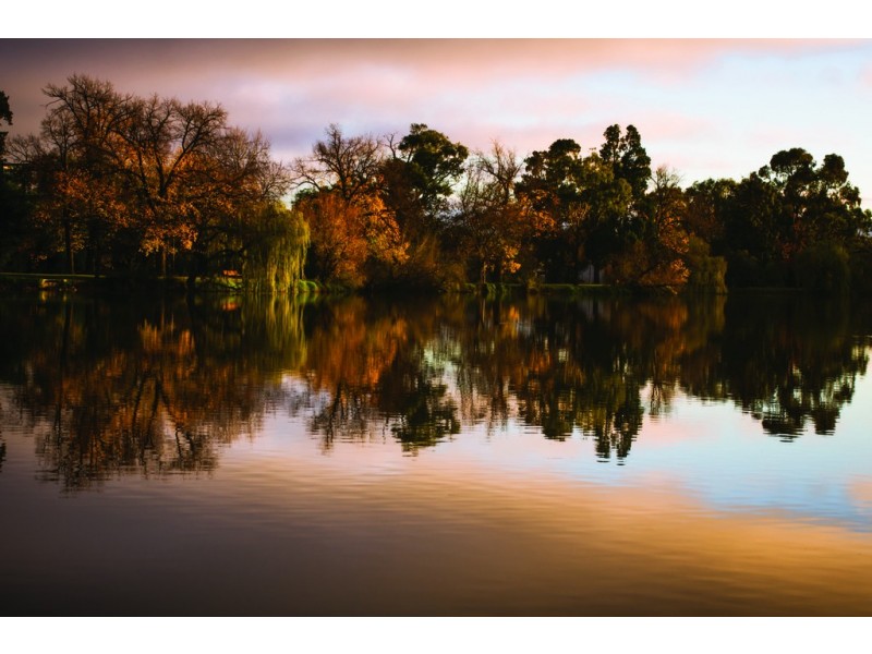 1 and 6 /17 Bakewell Street, North Bendigo VIC 3550