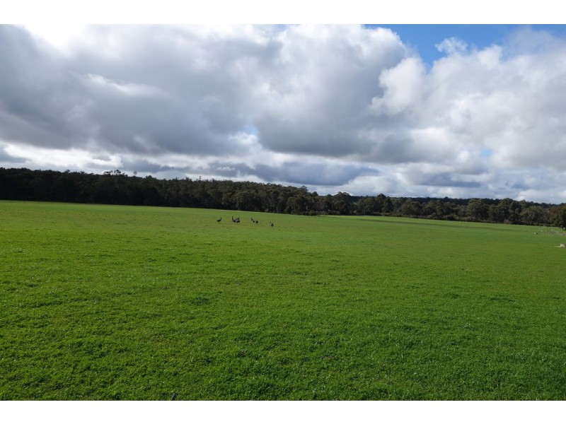 Lot 101 Bessell Road, Rosa Brook WA 6285