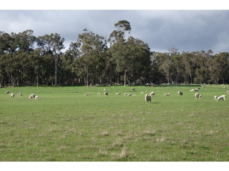 Lot 101 Bessell Road, Rosa Brook WA 6285