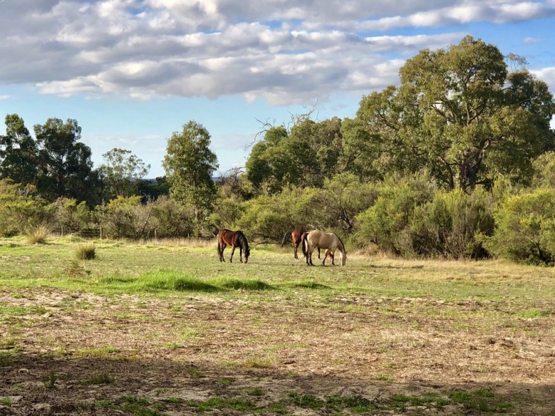 1647 Chapman Hill Road, Chapman Hill WA 6280