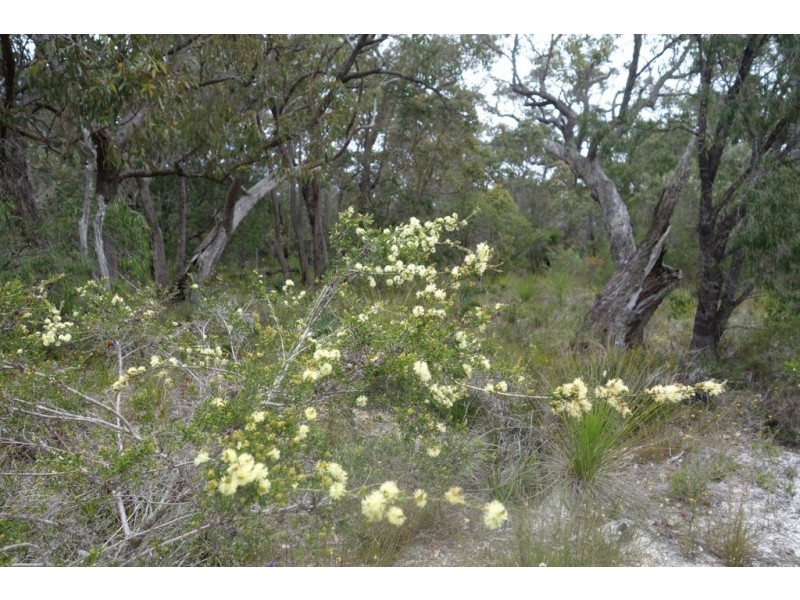Lot 27 Porter Court, Yallingup WA 6282