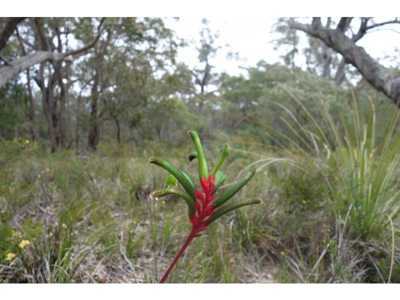 Lot 28 Shallows Loop, Yallingup WA 6282