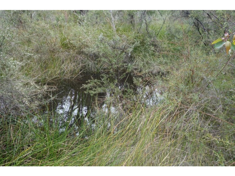 Lot 28 Shallows Loop, Yallingup WA 6282
